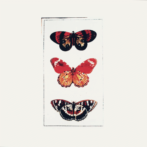 Life (USA-2) : Demo Ten